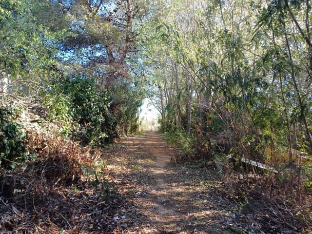 Grond te koop in Oliva - € 90.000 (Ref: 8252178)