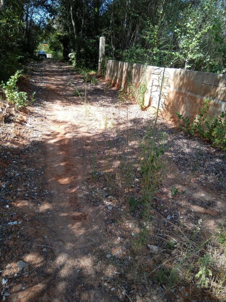 Terreno Non Edificato in vendita in Oliva - 90.000 € (Rif: 8252178)