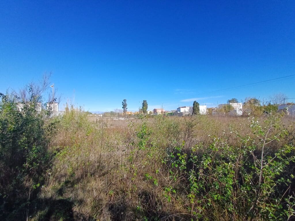 Terreno Non Edificato in vendita in Oliva - 90.000 € (Rif: 8252178)