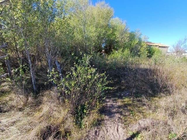 Grond te koop in Oliva - € 90.000 (Ref: 8252178)