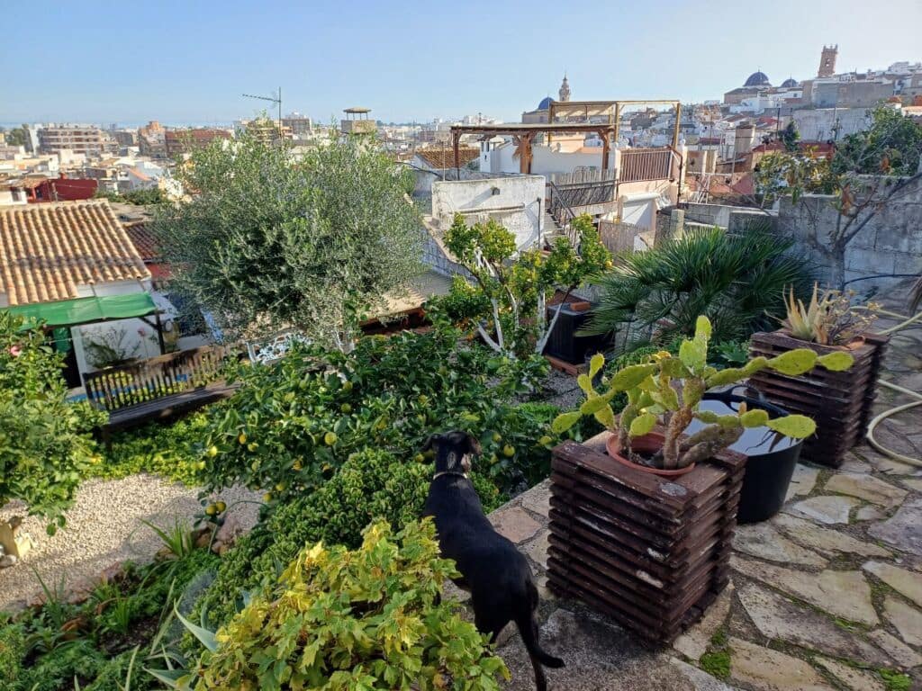 4 Zimmer Haus zu verkaufen in Oliva - 260.000 € (Ref: 8934578)