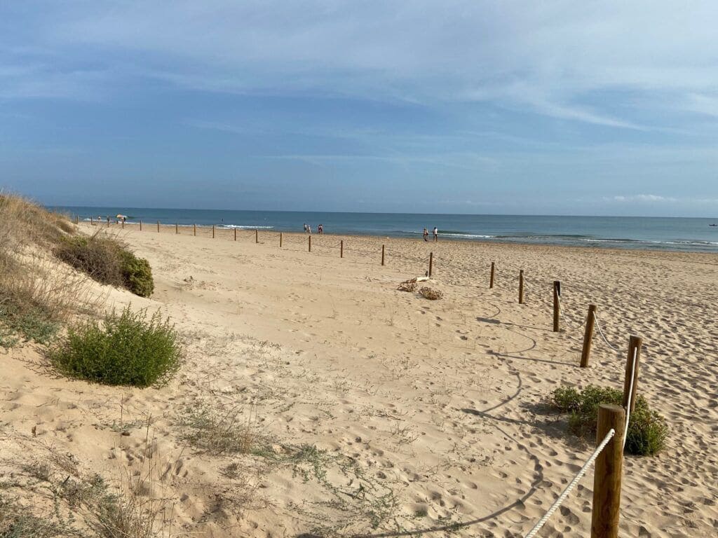 2 makuuhuone Kaupallinen myytävänä paikassa Oliva - 619 000 € (Ref: 9095353)