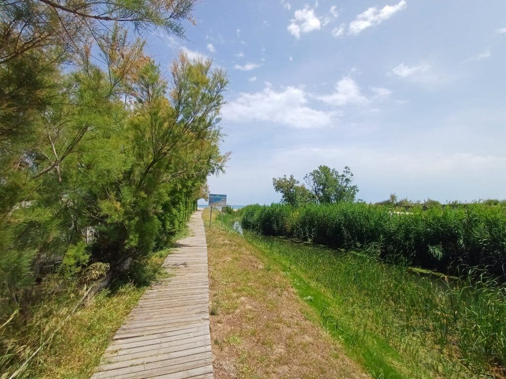 2 makuuhuone Kaupallinen myytävänä paikassa Oliva - 619 000 € (Ref: 9095353)