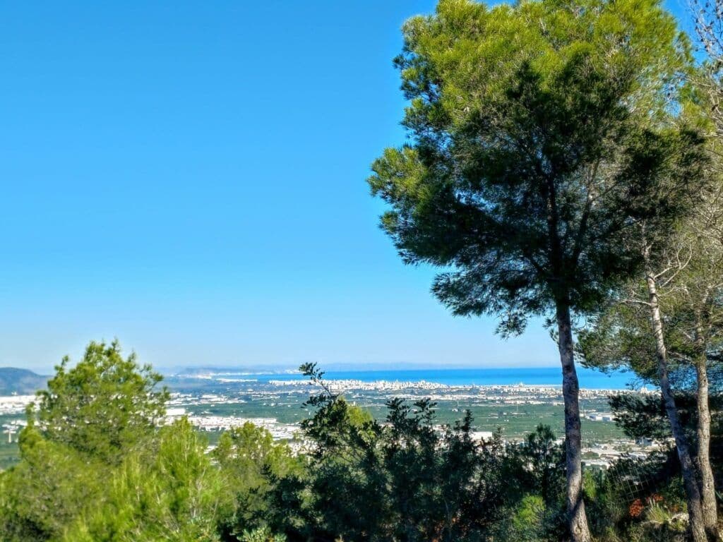 Terre non Aménagée à vendre à Oliva - 200 000 € (Ref: 9375080)