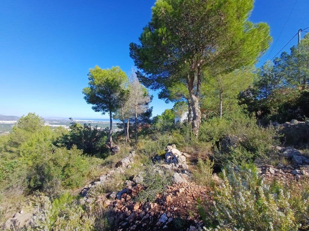 Terre non Aménagée à vendre à Oliva - 200 000 € (Ref: 9375080)
