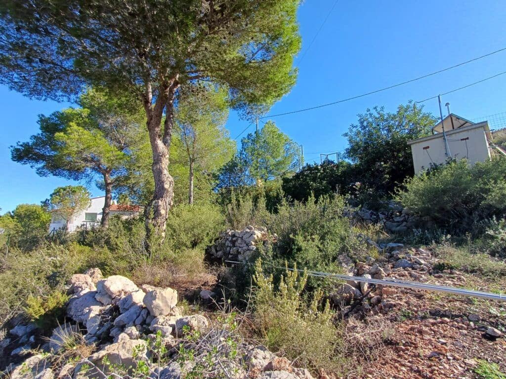Terre non Aménagée à vendre à Oliva - 200 000 € (Ref: 9375080)