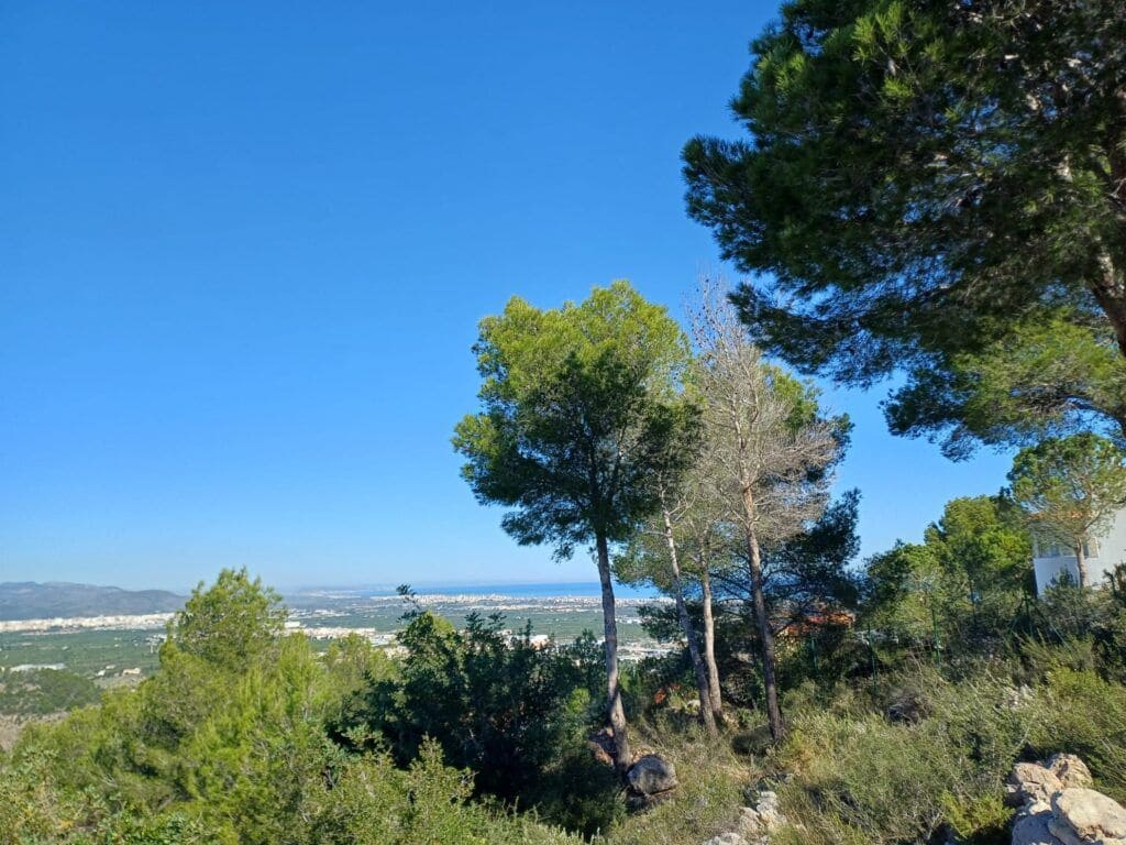 Terre non Aménagée à vendre à Oliva - 200 000 € (Ref: 9375080)