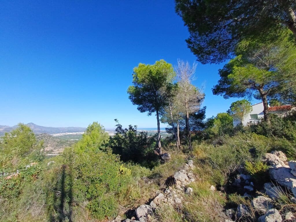 Terre non Aménagée à vendre à Oliva - 200 000 € (Ref: 9375080)