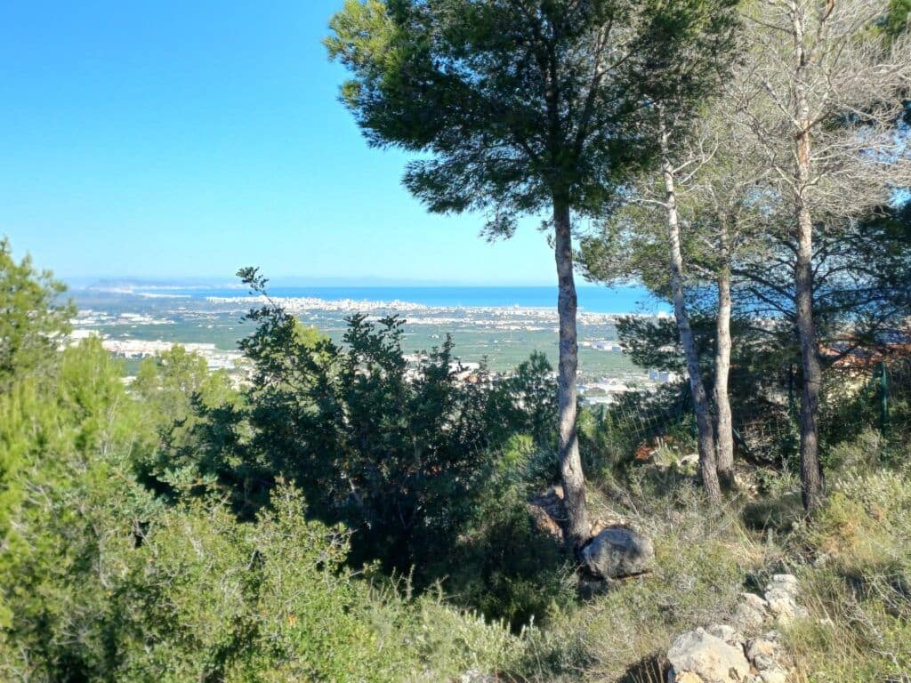 Terre non Aménagée à vendre à Oliva - 200 000 € (Ref: 9375080)