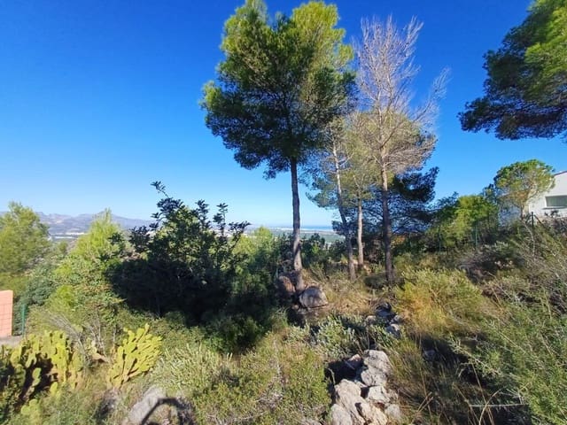 Grond te koop in Oliva - € 200.000 (Ref: 9375080)