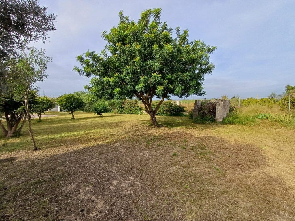 2 bedroom Villa for sale in Oliva with garage - € 199,000 (Ref: 9390406)