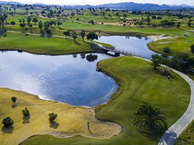 4 soveværelse Villa til salg i Los Montesinos med swimmingpool - € 549.900 (Ref: 9318535)