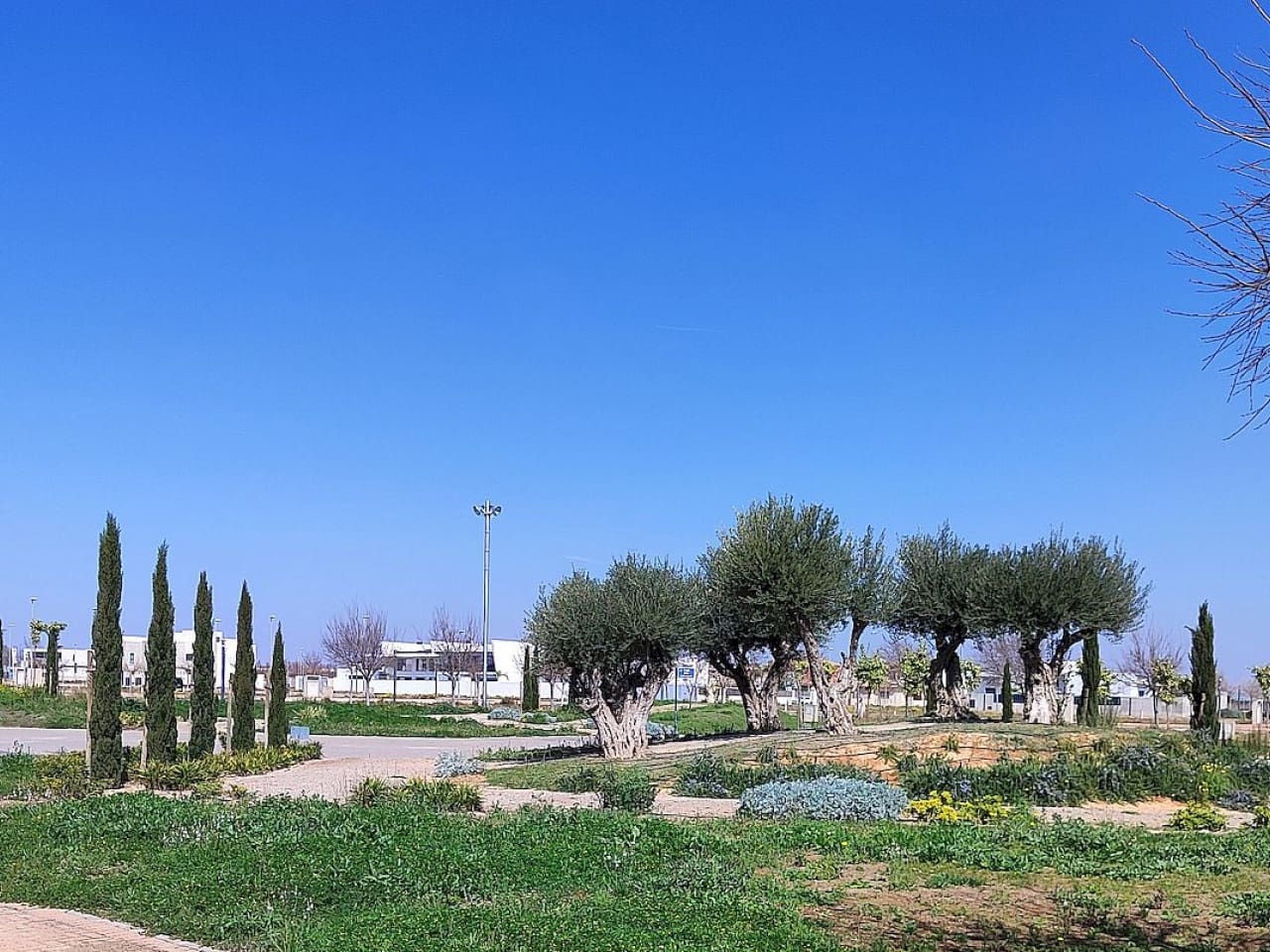 3 bedroom Apartment for sale in Torre-Pacheco with pool - € 196,000 (Ref: 9318651)