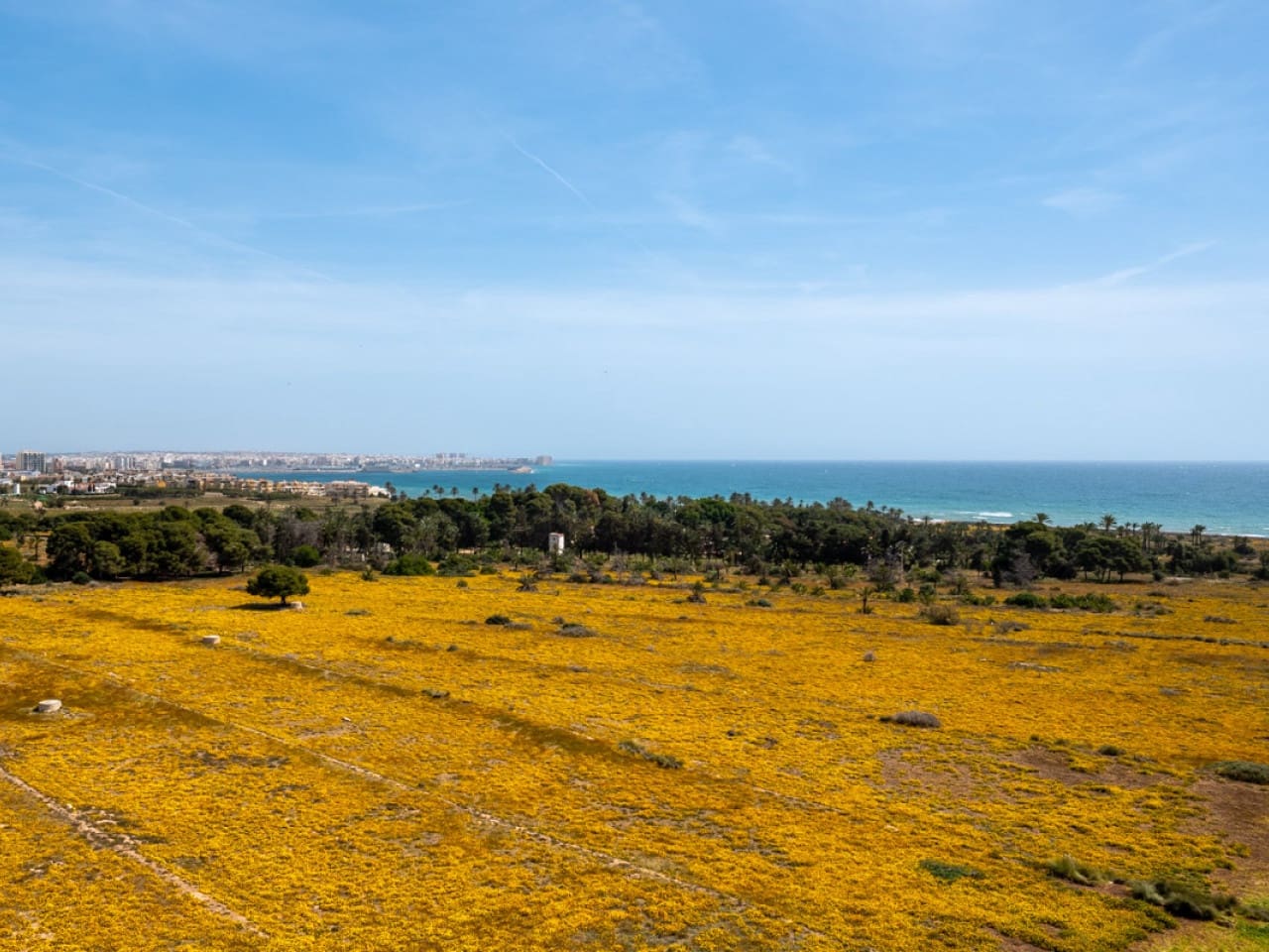 2 bedroom Apartment for sale in Torrevieja with pool - € 249,000 (Ref: 9831964)