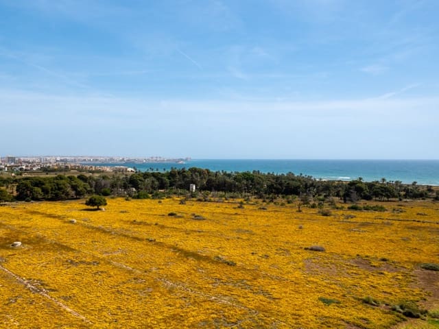 2 Zimmer Apartment zu verkaufen in Torrevieja mit Pool - 220.000 € (Ref: 9831964)