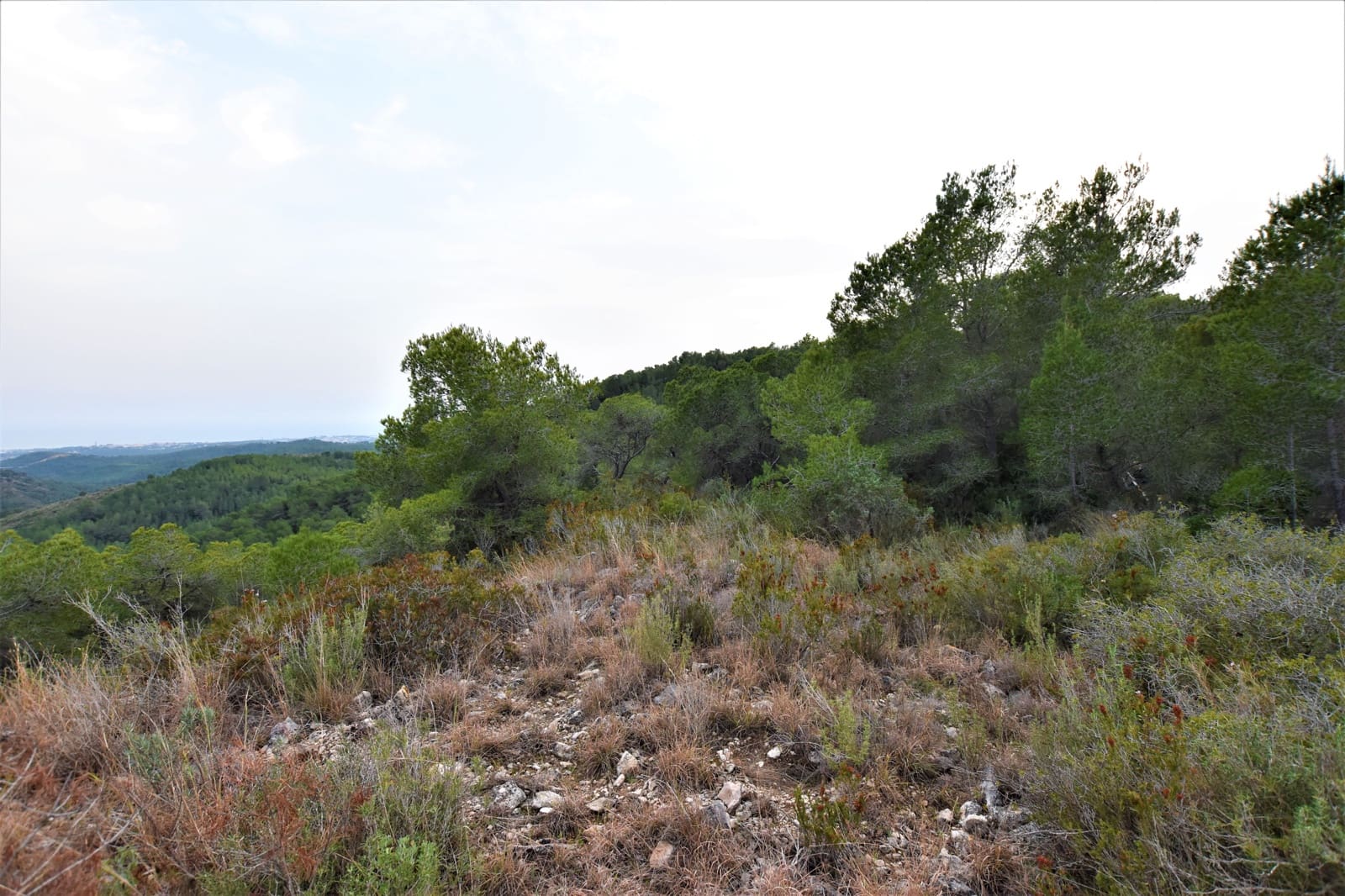 Grunde uden byggetilladelser til salg i Bonastre - € 30.000 (Ref: 6394945)