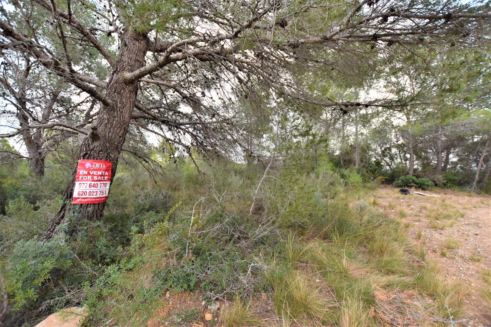 Grunde uden byggetilladelser til salg i Bonastre - € 30.000 (Ref: 6394945)