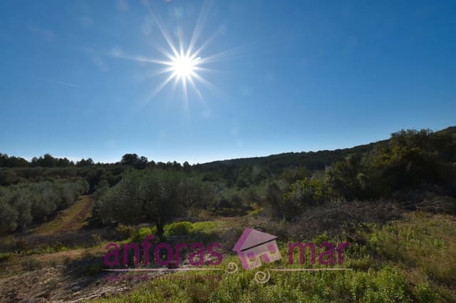 Finca/Herregård til salgs i Tarragona by - € 60 000 (Ref: 8906580)
