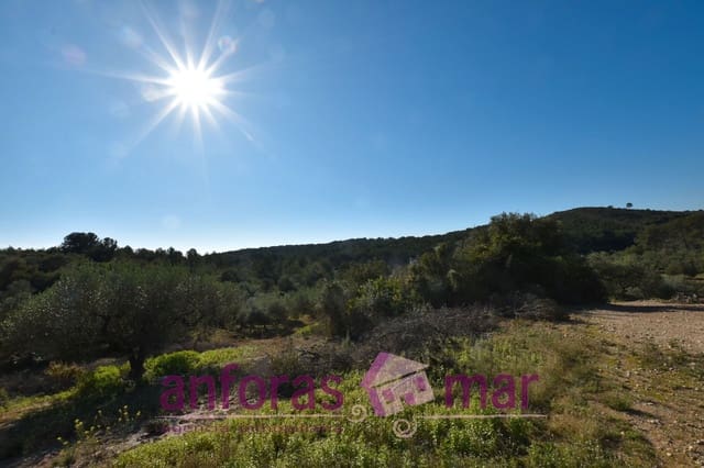 Finca/Herregård til salgs i Tarragona by - € 60 000 (Ref: 8906580)
