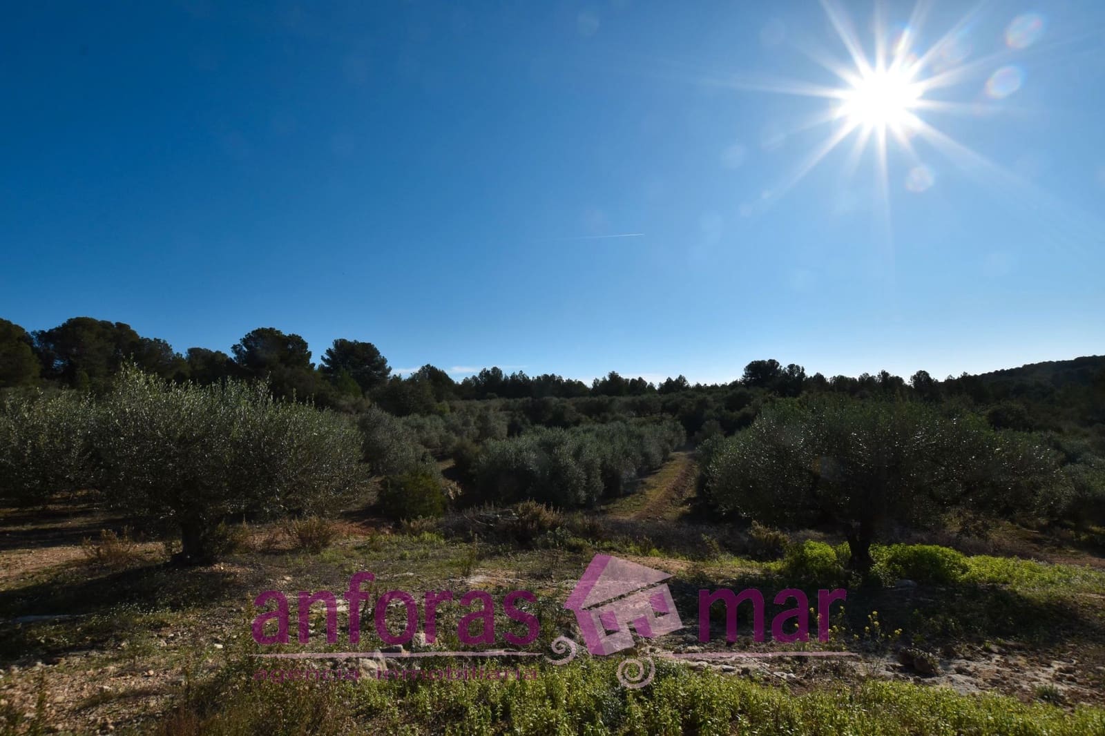 Finca/Landehus til salg i Tarragona by - € 60.000 (Ref: 8906580)