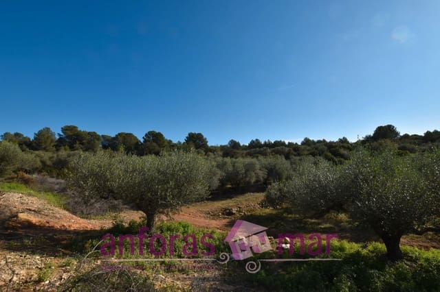 Finca/Herregård til salgs i Tarragona by - € 60 000 (Ref: 8906580)