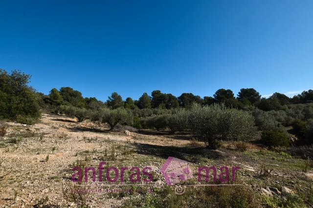Finca/Herregård til salgs i Tarragona by - € 60 000 (Ref: 8906580)