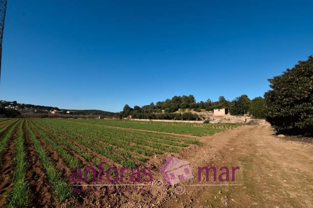 Finca/Casa di Campagna in vendita in La Riera de Gaià - 80.000 € (Rif: 8906581)