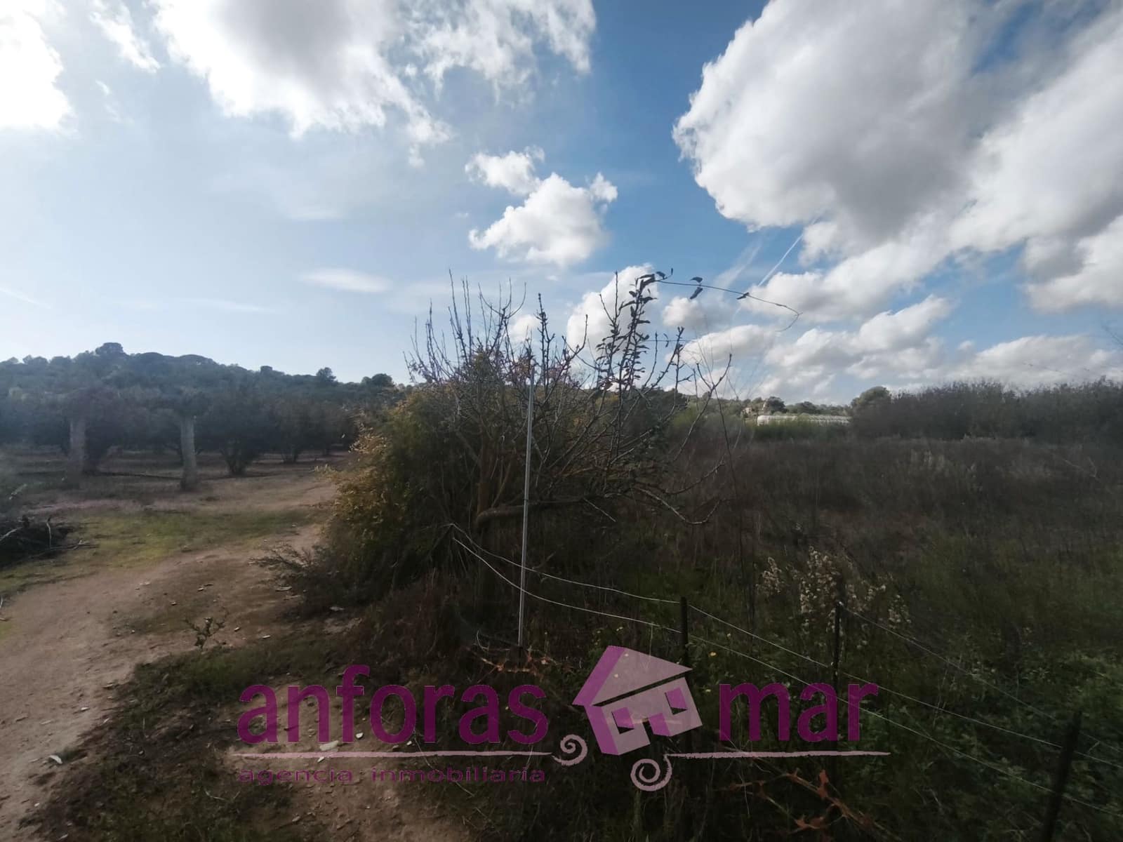 Mark till salu i La Riera de Gaia - 31 000 € (Ref: 9407825)