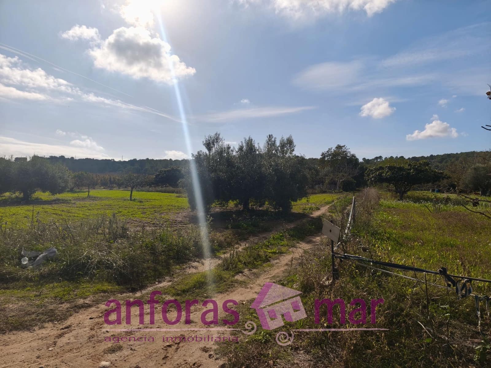 Mark till salu i La Riera de Gaia - 31 000 € (Ref: 9407825)