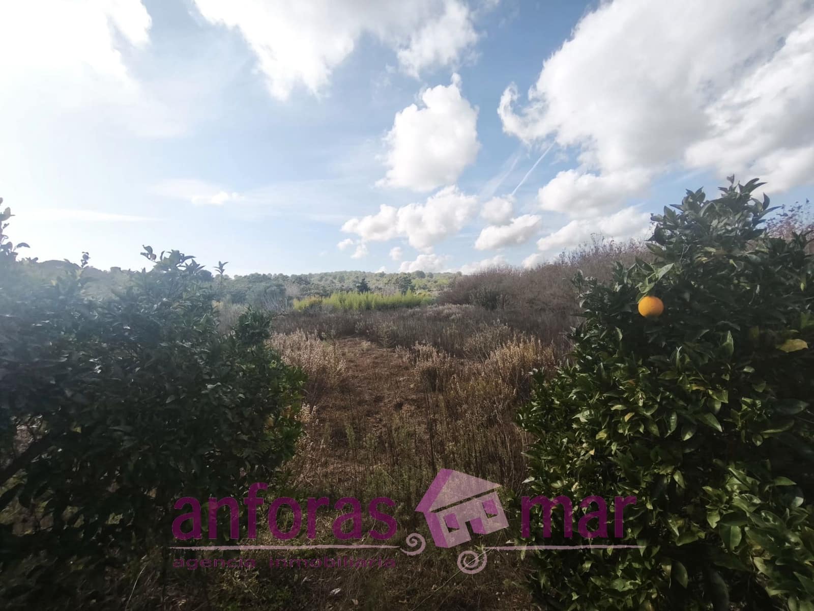 Mark till salu i La Riera de Gaia - 31 000 € (Ref: 9407825)