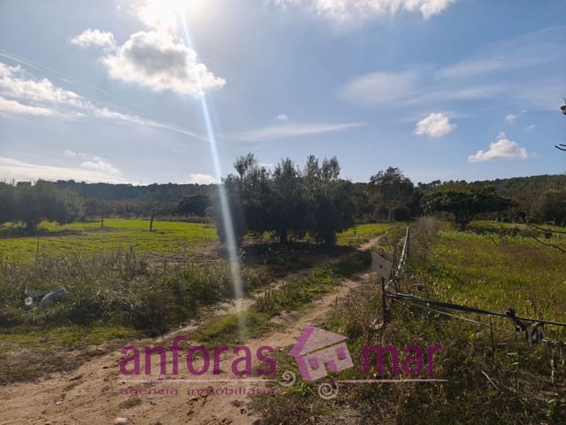 Teren niezagospodarowany na sprzedaż w La Riera de Gaià - 31 000 € (Ref: 9407825)