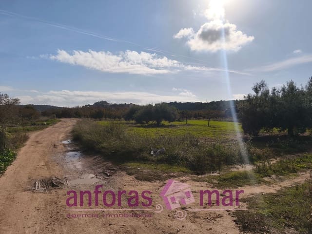 Teren niezagospodarowany na sprzedaż w La Riera de Gaià - 31 000 € (Ref: 9407825)