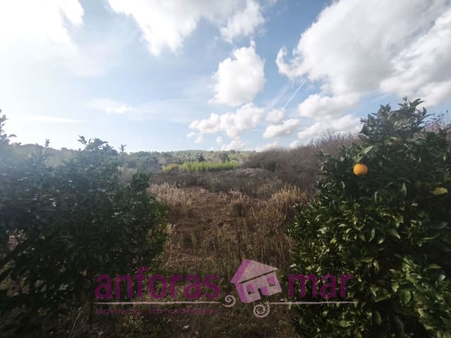 Teren niezagospodarowany na sprzedaż w La Riera de Gaià - 31 000 € (Ref: 9407825)