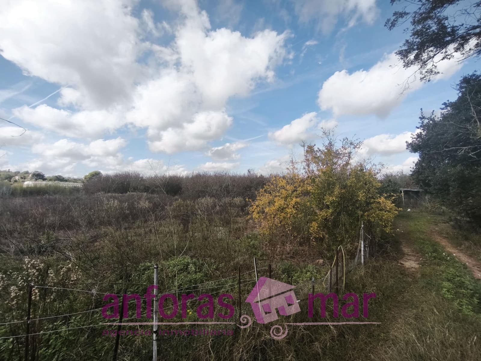 Mark till salu i La Riera de Gaia - 31 000 € (Ref: 9407825)