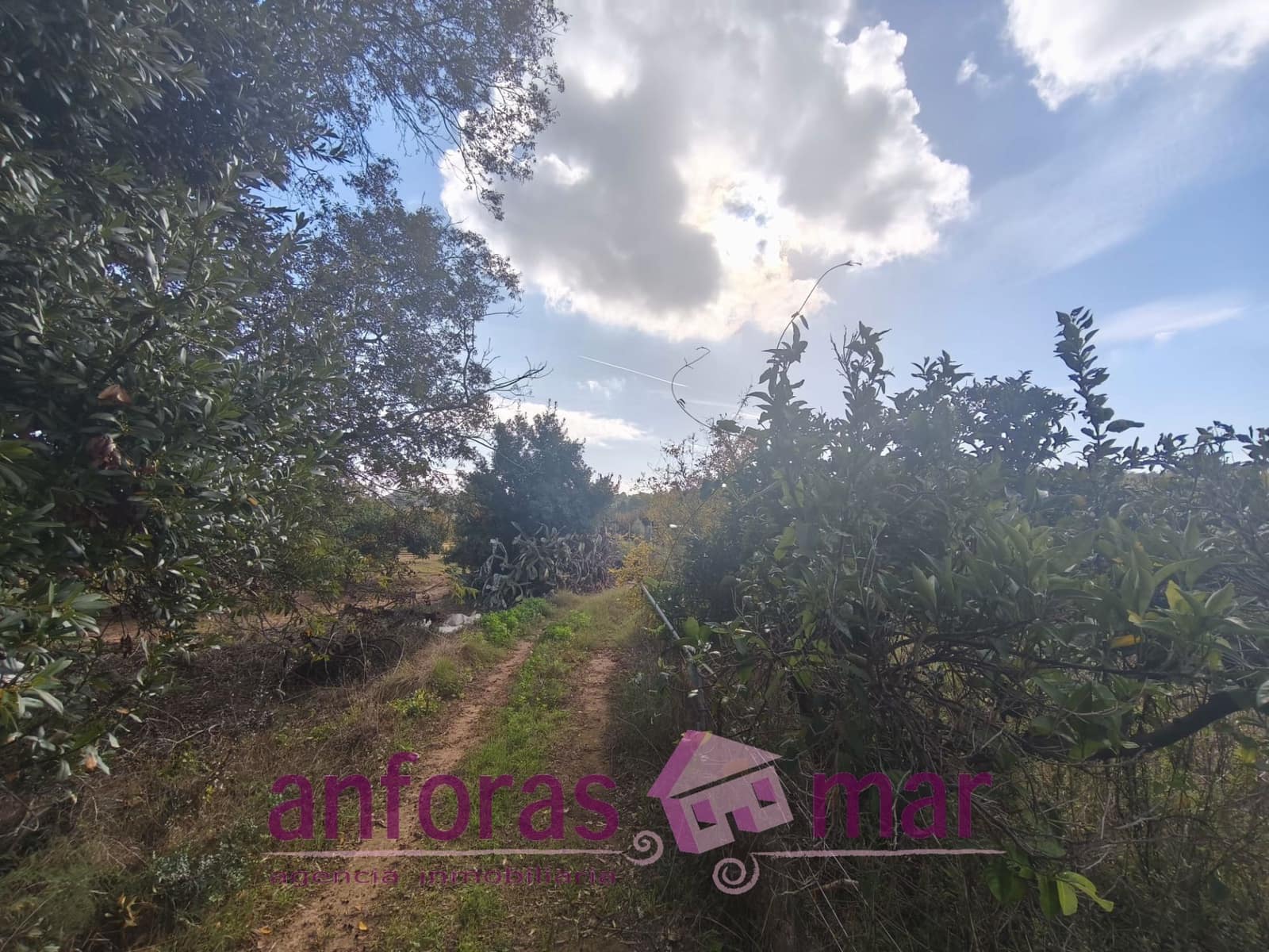 Mark till salu i La Riera de Gaia - 31 000 € (Ref: 9407825)