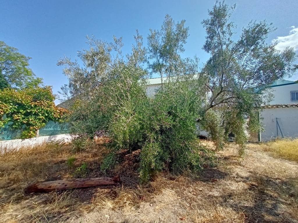 2 soverom Finca/Herregård til salgs i Cabra med garasje - € 42 900 (Ref: 10006627)