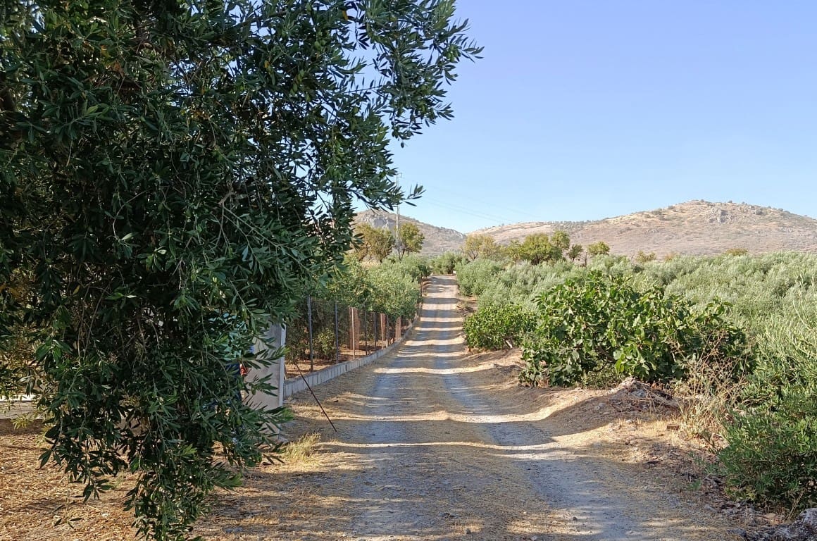 3 bedroom Finca/Country House for sale in Luque with garage - € 199,000 (Ref: 10018553)