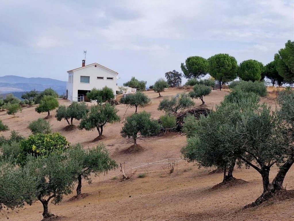 4 bedroom Finca/Country House for sale in Villaviciosa de Cordoba with pool garage - € 215,000 (Ref: 10019422)