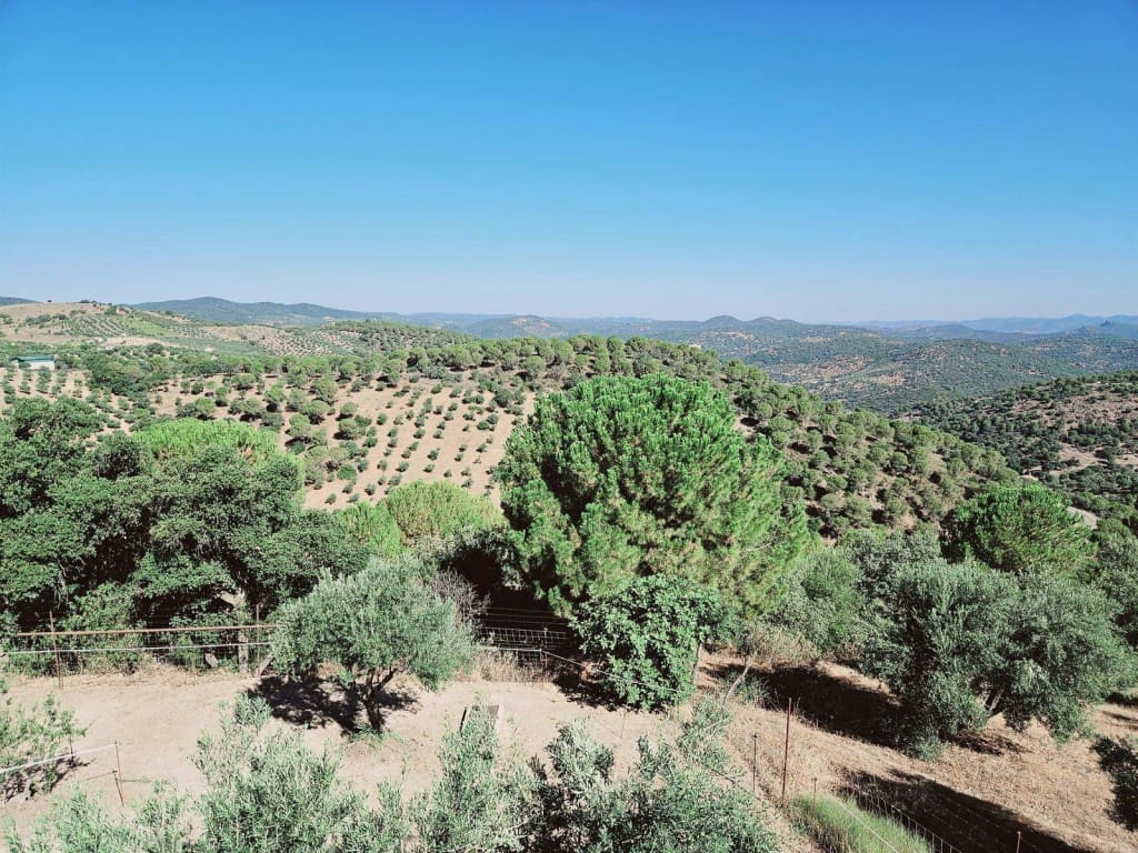 4 bedroom Finca/Country House for sale in Villaviciosa de Cordoba with pool garage - € 215,000 (Ref: 10019422)