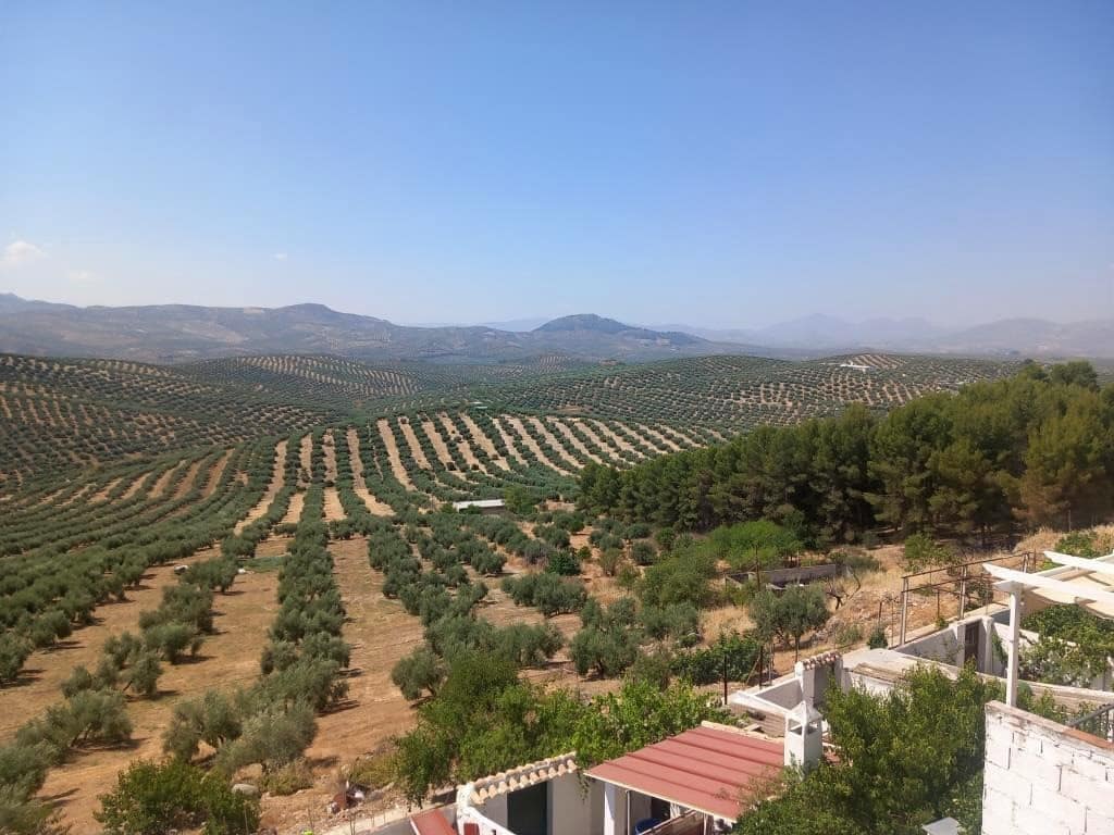 3 soverom Hus til salgs i Bobadilla de Alcaudete - € 79 000 (Ref: 10038549)