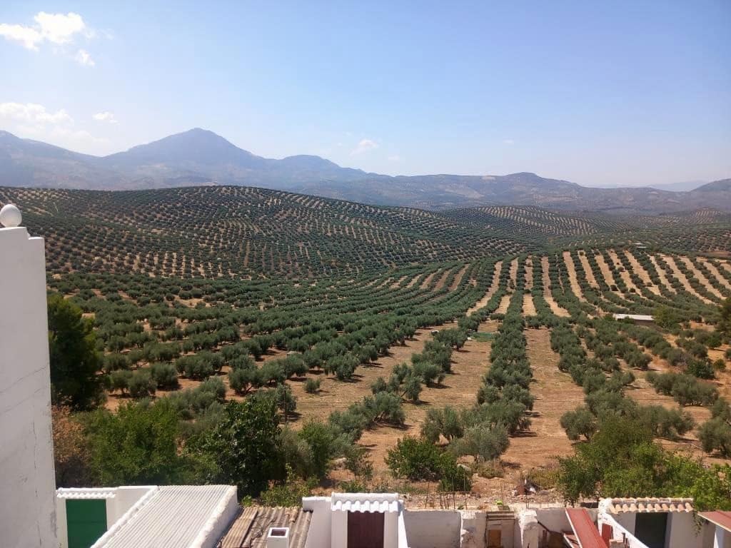 3 soverom Hus til salgs i Bobadilla de Alcaudete - € 79 000 (Ref: 10038549)