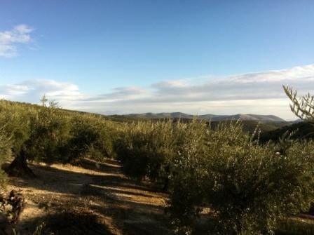 4 sovrum Hus till salu i Frailes - 80 000 € (Ref: 10136632)