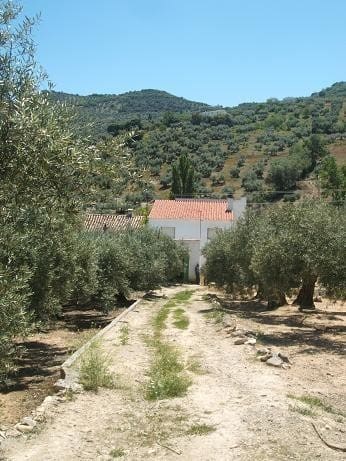 6 soveværelse Finca/Landehus til salg i Las Casillas de Martos - € 70.000 (Ref: 1745506)