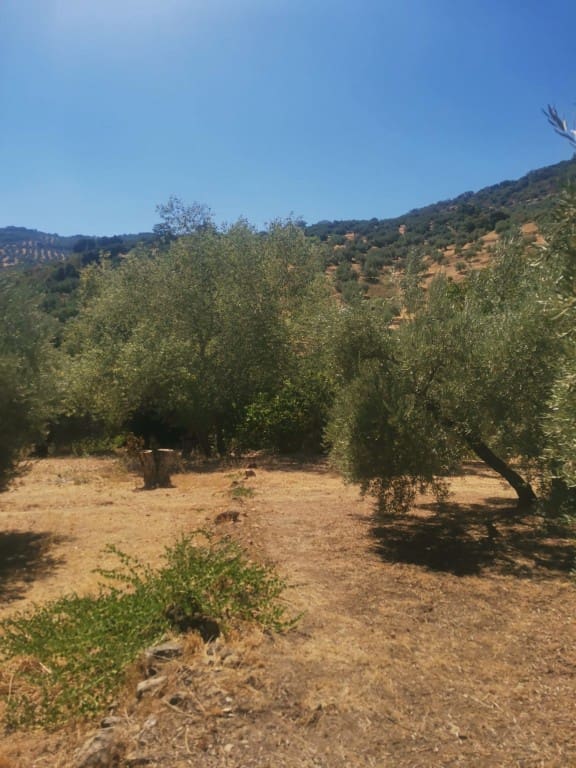 6 soveværelse Finca/Landehus til salg i Las Casillas de Martos - € 70.000 (Ref: 1745506)