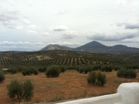 3 soveværelse Byhus til salg i Bobadilla de Alcaudete med swimmingpool - € 55.000 (Ref: 2439820)