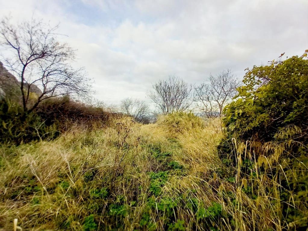 6 soverom Hus til salgs i Luque med garasje - € 79 000 (Ref: 4960018)