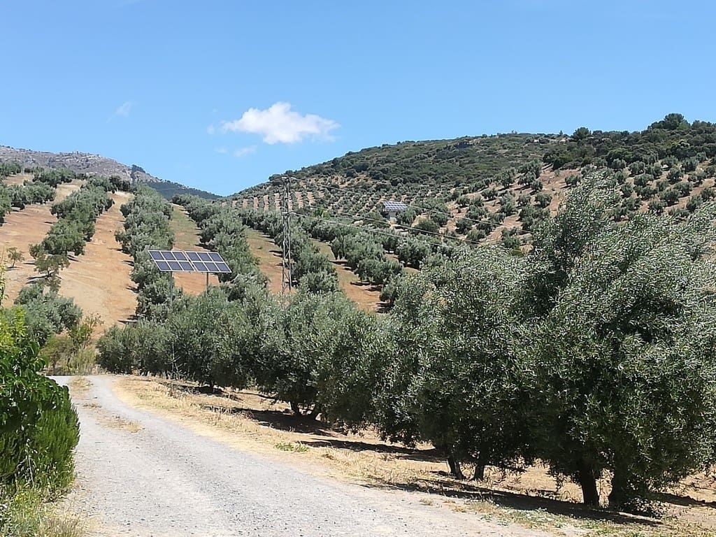 5 sovrum Finca/Hus på landet till salu i Alcaudete med pool - 270 000 € (Ref: 5368727)