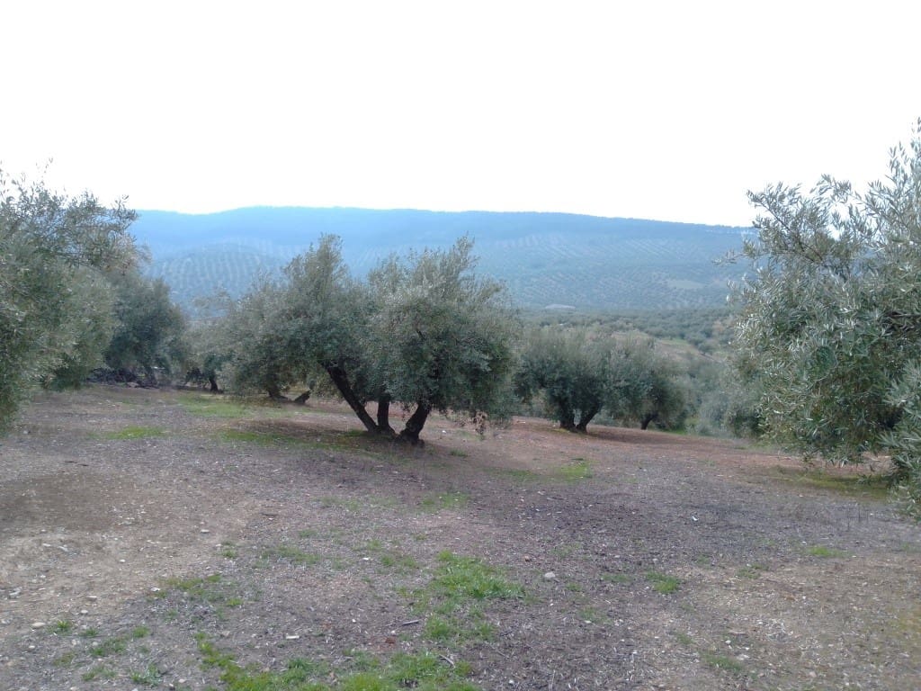 3 soveværelse Finca/Landehus til salg i Sabariego med swimmingpool - € 109.000 (Ref: 5942760)