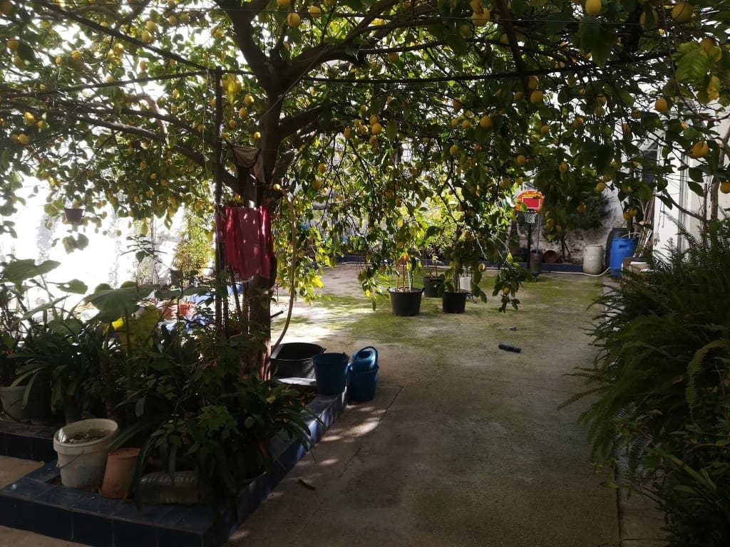 7 soveværelse Lejlighed til salg i Martos med garage - € 132.000 (Ref: 6044930)