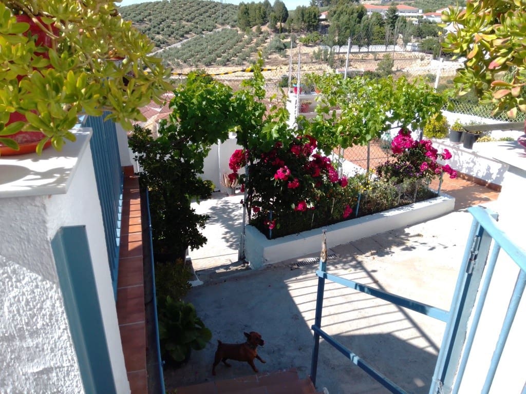 4 slaapkamer Huis te koop in Martos - € 126.000 (Ref: 6149886)